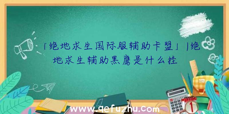 「绝地求生国际服辅助卡盟」|绝地求生辅助黑鹰是什么挂